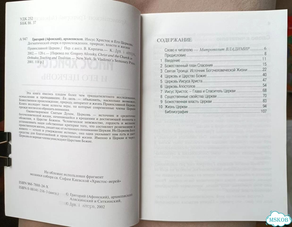 Григорий (Афонский). Иисус Христос и Его Церковь фото 4