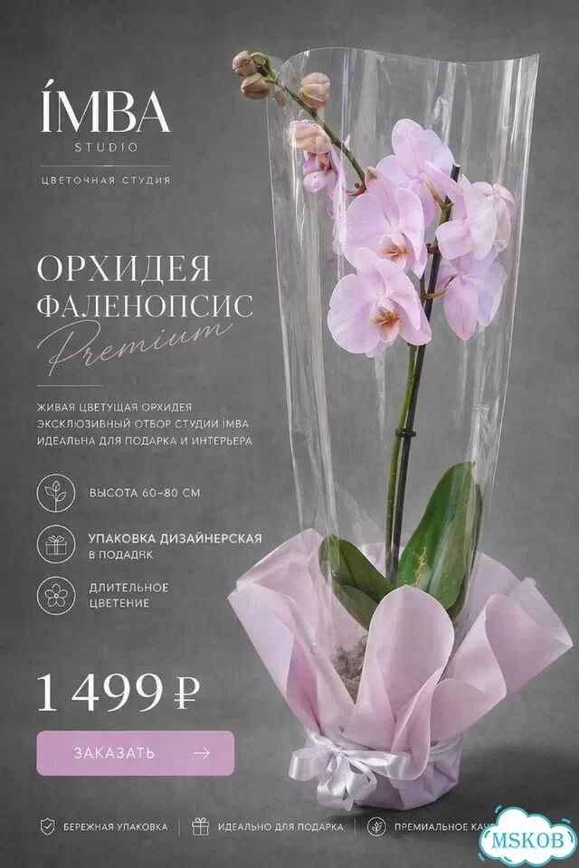 Орхидея 1 фото 1