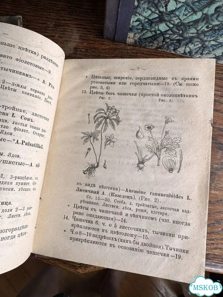 Антикварные книги фото 10