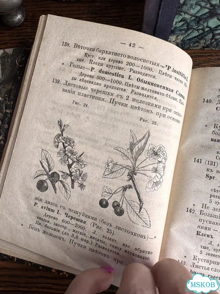 Антикварные книги фото 11