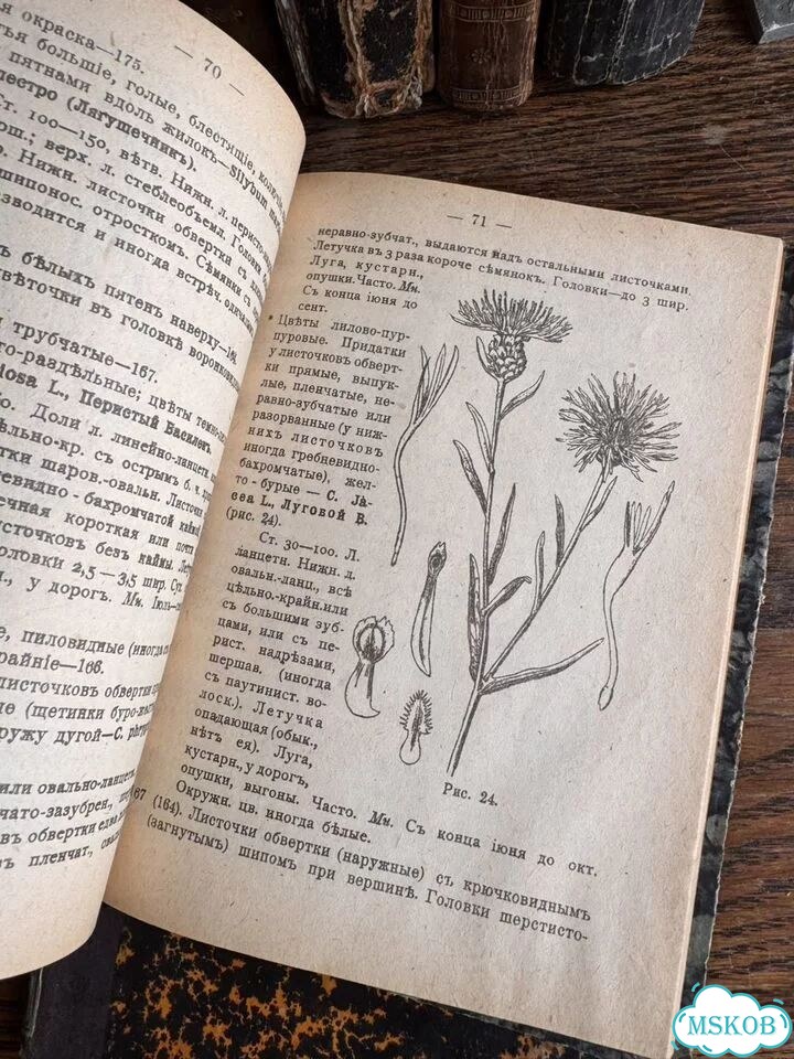 Антикварные книги фото 4