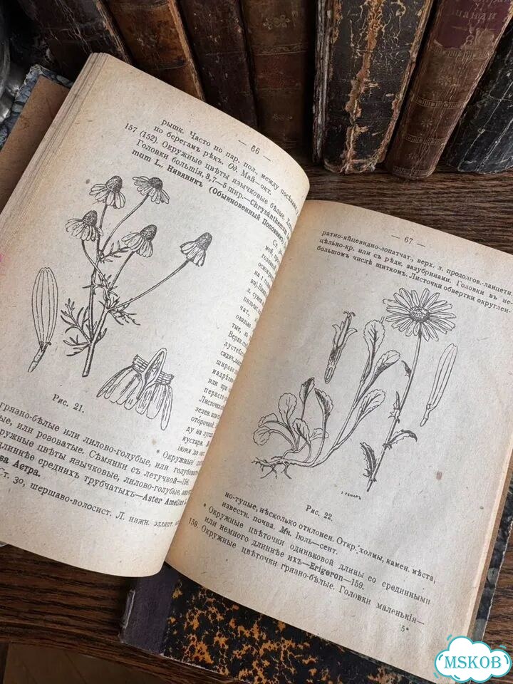 Антикварные книги фото 5