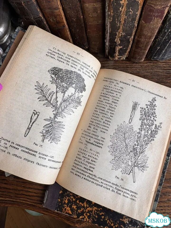 Антикварные книги фото 6