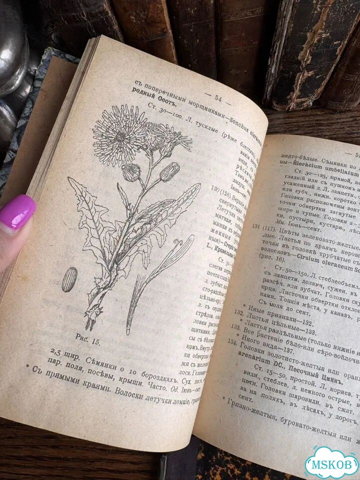 Антикварные книги фото 7