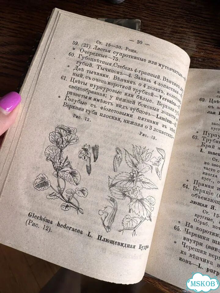Антикварные книги фото 9