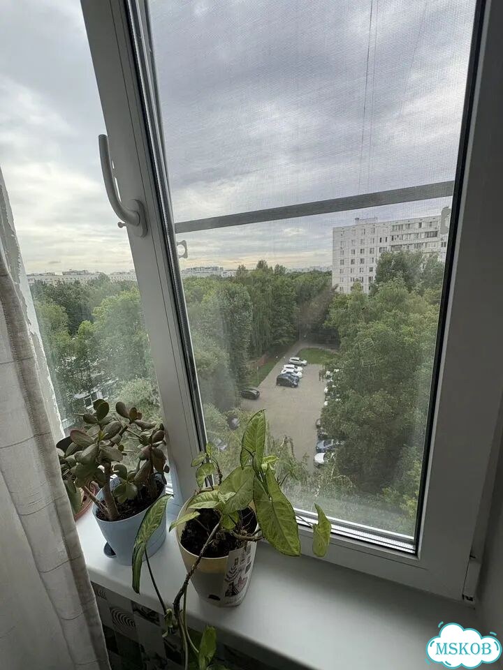 1-к. квартира, 34 м², 8/12 эт. фото 6