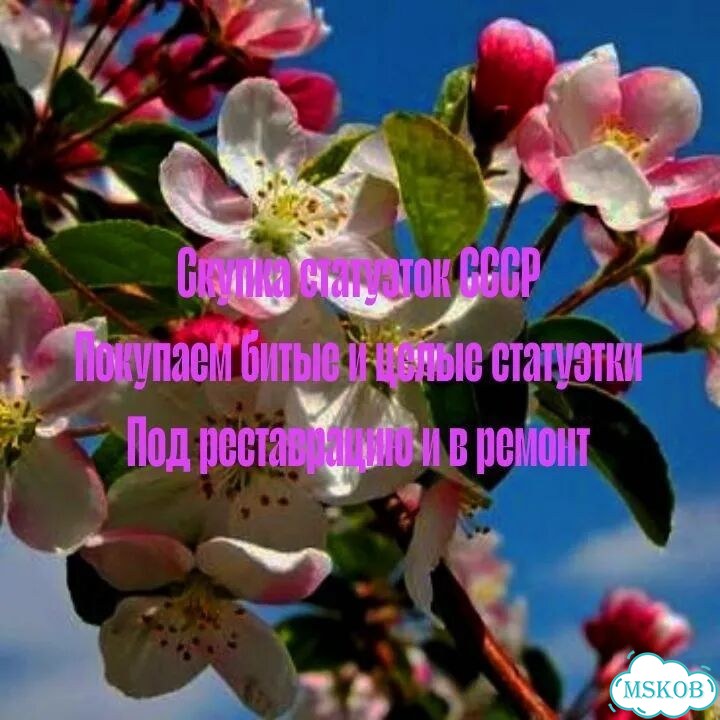 Выкуп Советских Статуэток СССР фото 1