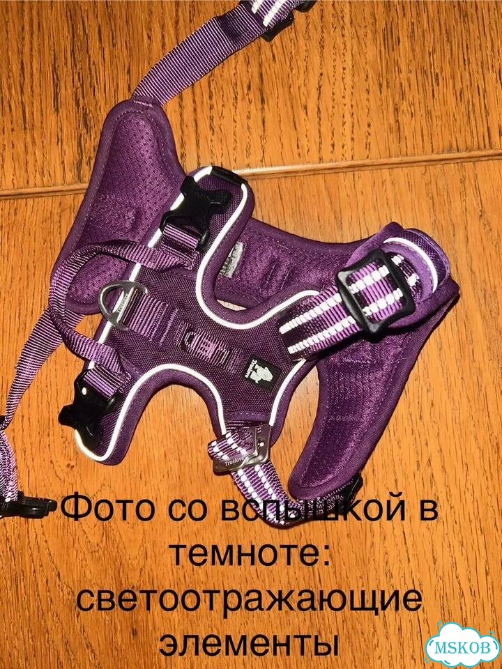 Шлейка для собаки Truelove S фото 1