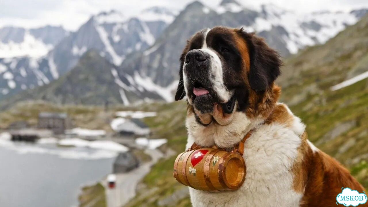 Samsung 350V5C 325315 фото 1