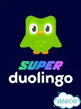 Подписка duolingo super 3 месяца фото 1