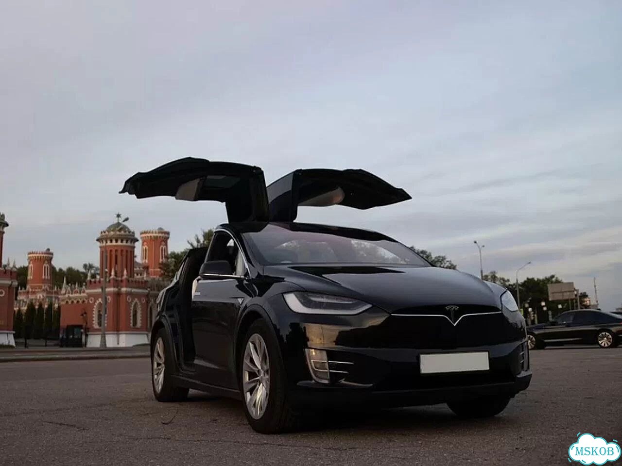 Прокат Tesla Model X: Аренда от собственника фото 1