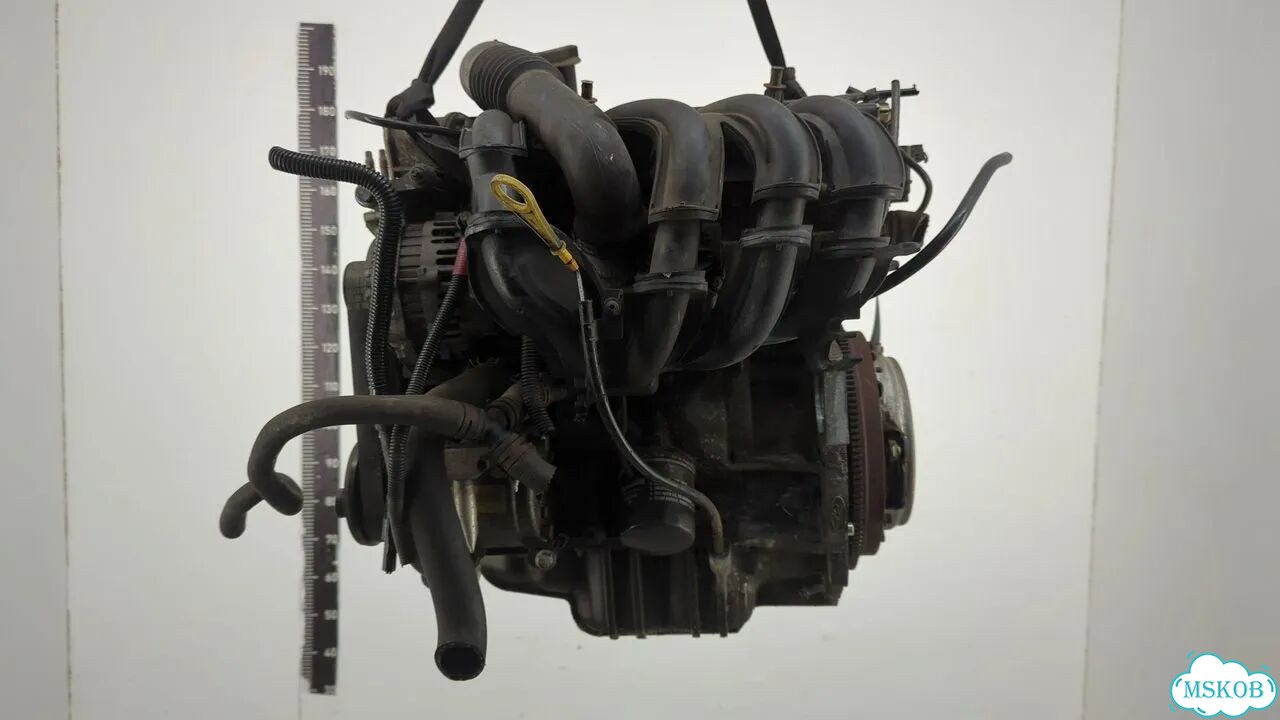 Двигатель Ford Fusion fxja, fxjb, fxjc фото 1