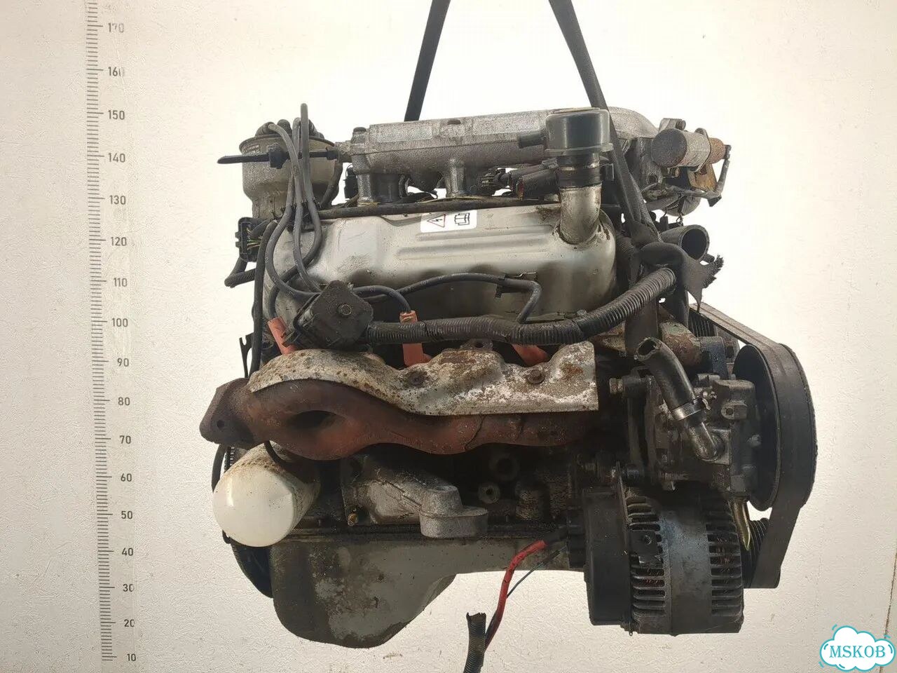 Двигатель разобран Ford Scorpio BRG фото 4