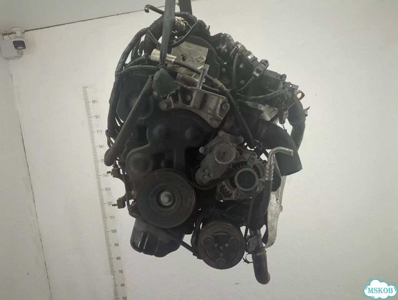 Двигатель Ford Focus 2 G8DA, G8DB, G8DC, G8DD, G8DE, G8DF фото 1