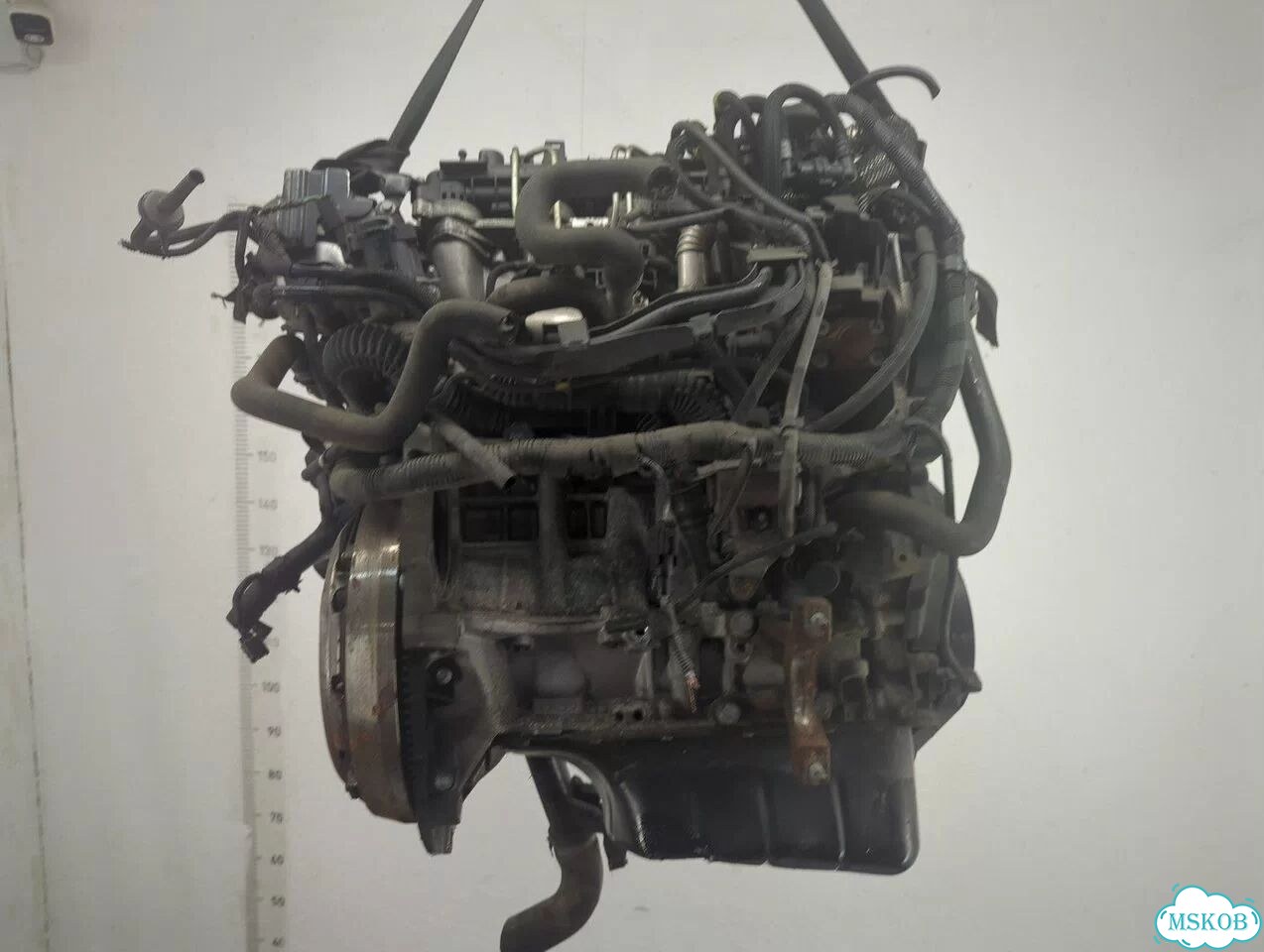 Двигатель Ford Focus 2 G8DA, G8DB, G8DC, G8DD, G8DE, G8DF фото 3