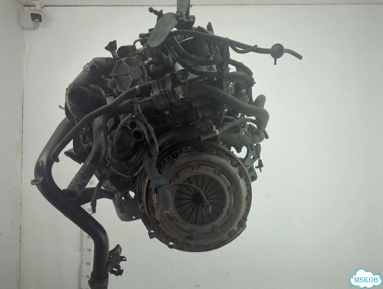 Двигатель Ford Focus 2 G8DA, G8DB, G8DC, G8DD, G8DE, G8DF фото 4