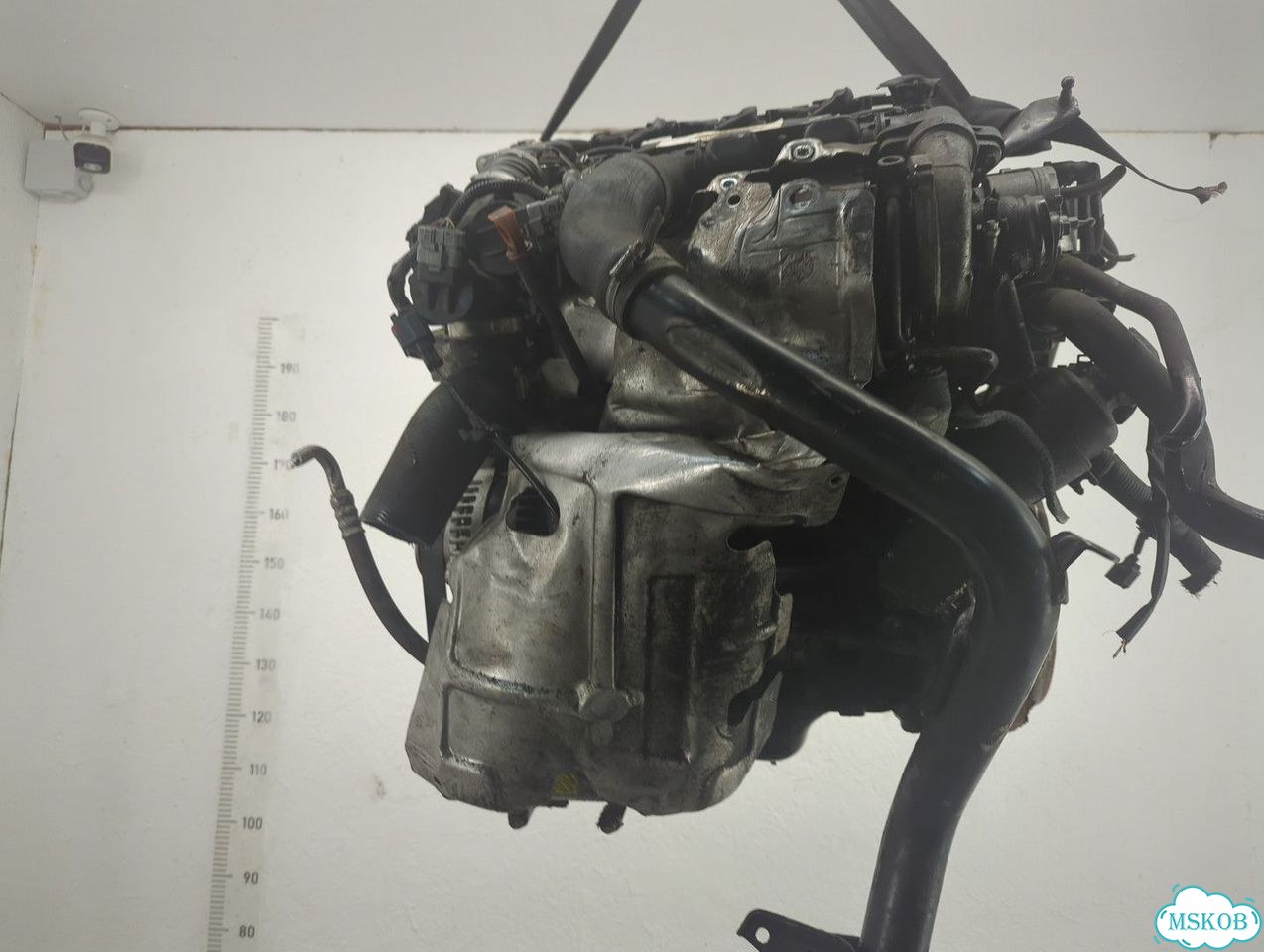 Двигатель Ford Focus 2 G8DA, G8DB, G8DC, G8DD, G8DE, G8DF фото 5