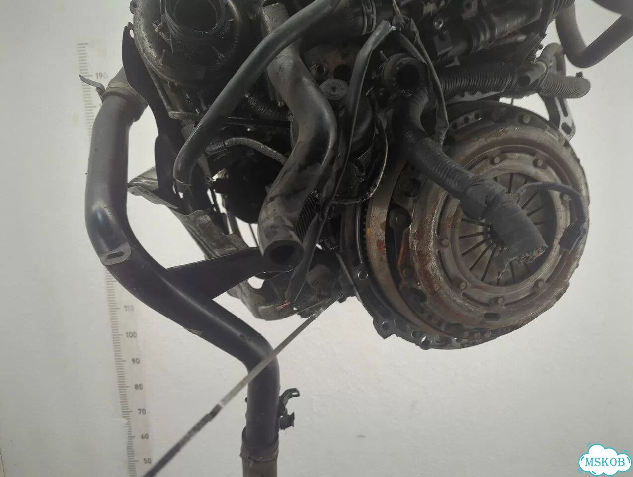 Двигатель Ford Focus 2 G8DA, G8DB, G8DC, G8DD, G8DE, G8DF фото 9