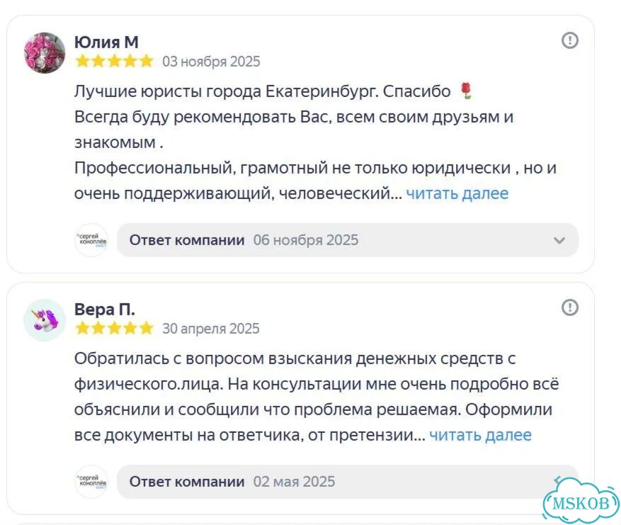 Защита от субсидиарной ответственности фото 2