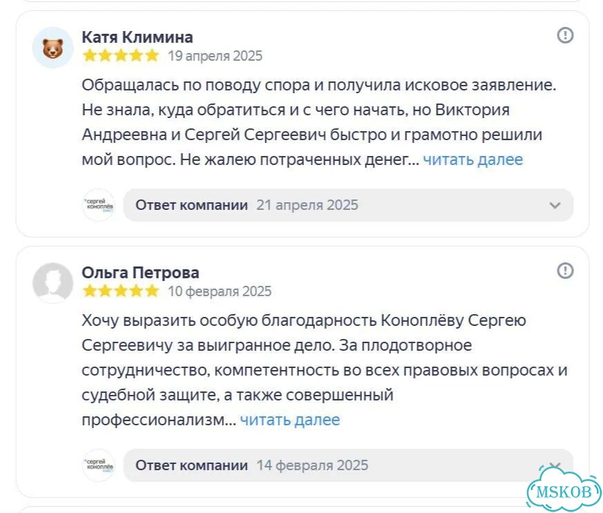 Защита от субсидиарной ответственности фото 3