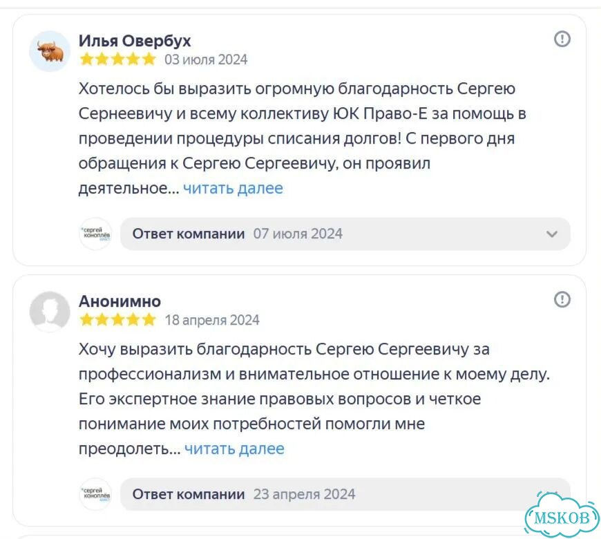 Защита от субсидиарной ответственности фото 4