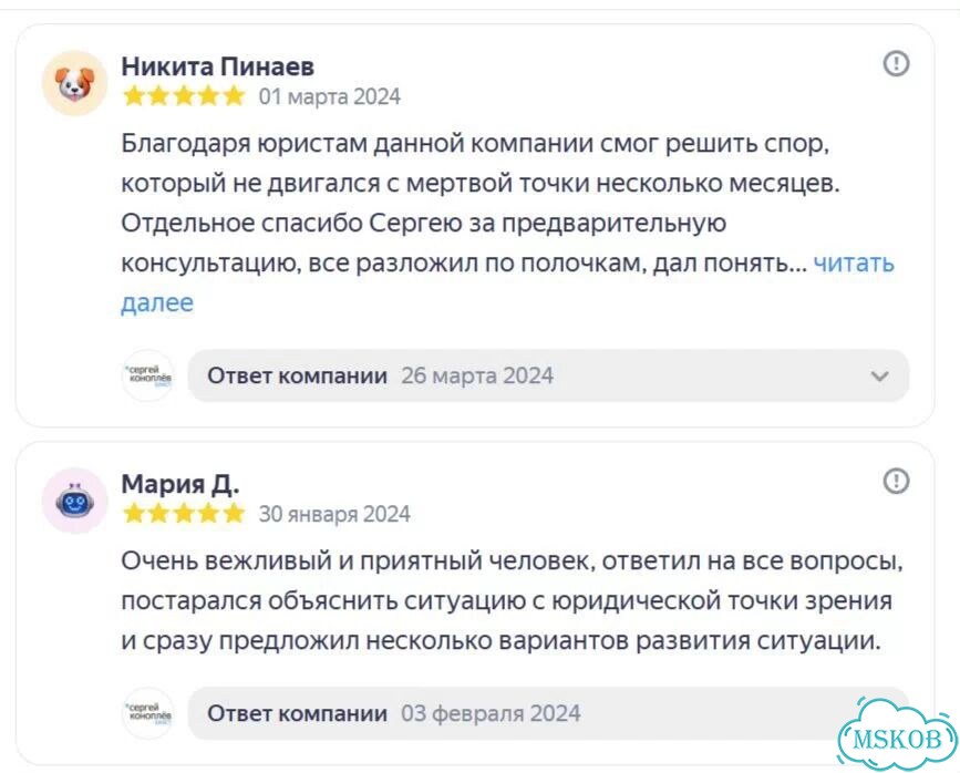 Защита от субсидиарной ответственности фото 5