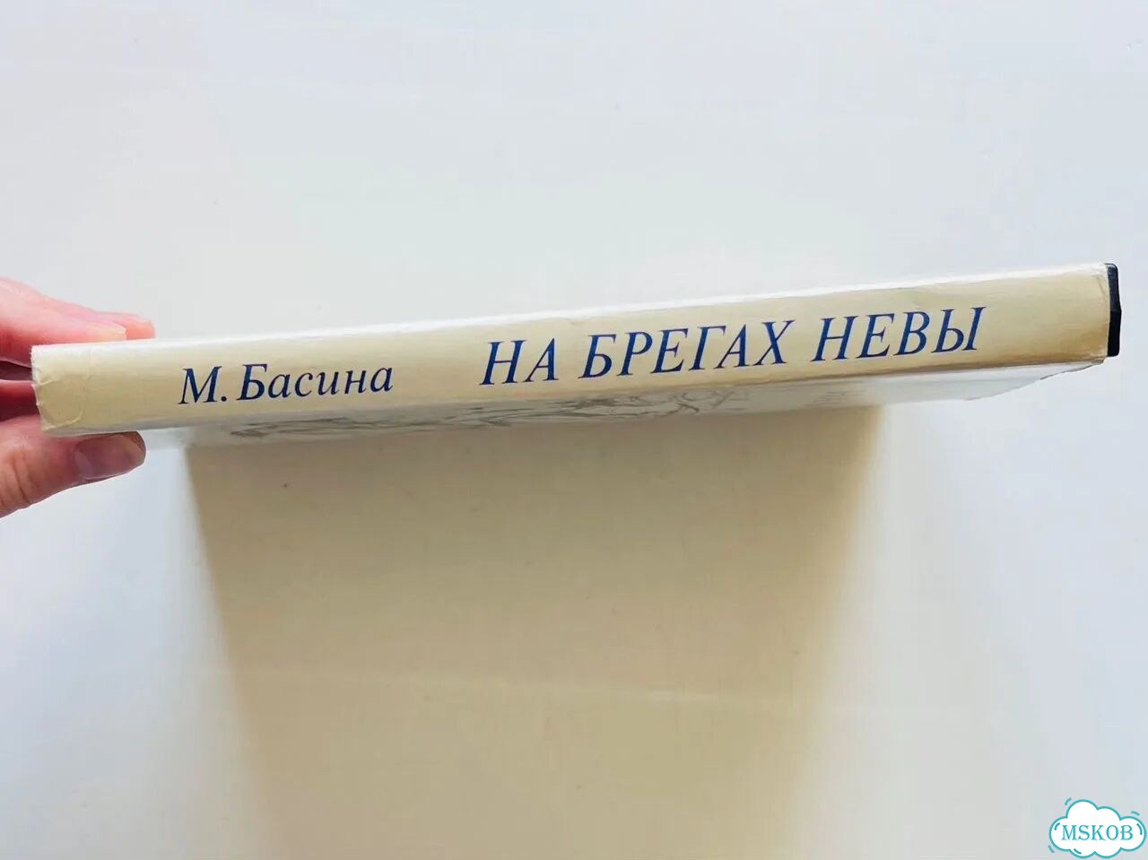 На брегах Нивы Басина фото 9
