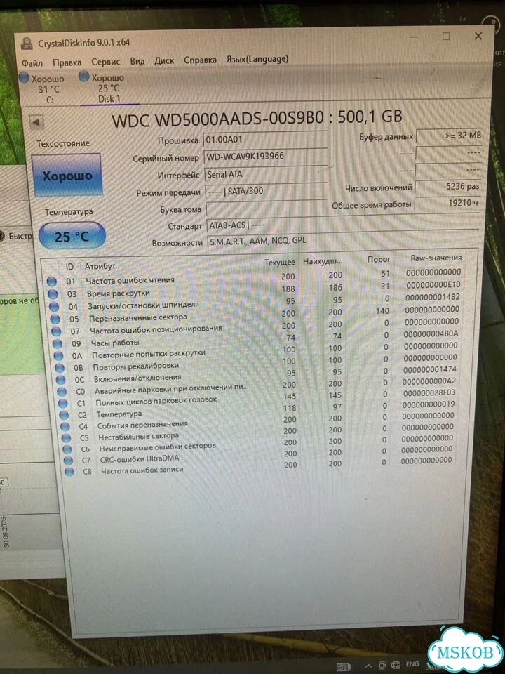 WD Caviar Green 500gb we5000aads SATA 100% раб фото 5