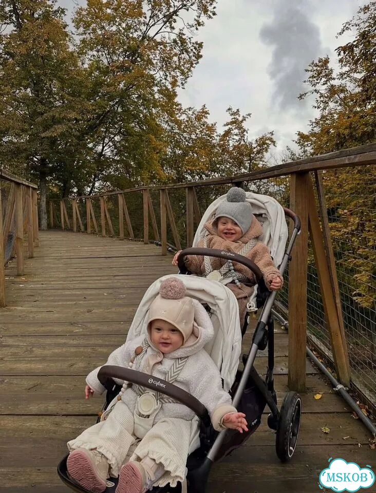 Коляска Cybex Gazelle S Stone grey фото 2
