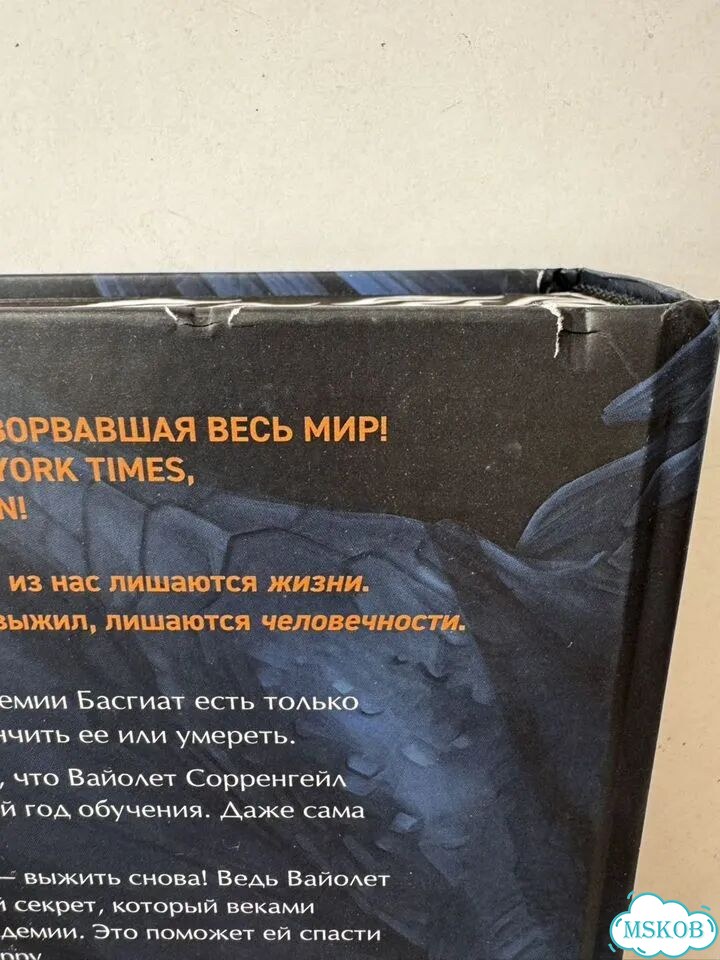 Железное пламя (ограниченный тираж) Ребекка Яррос фото 8