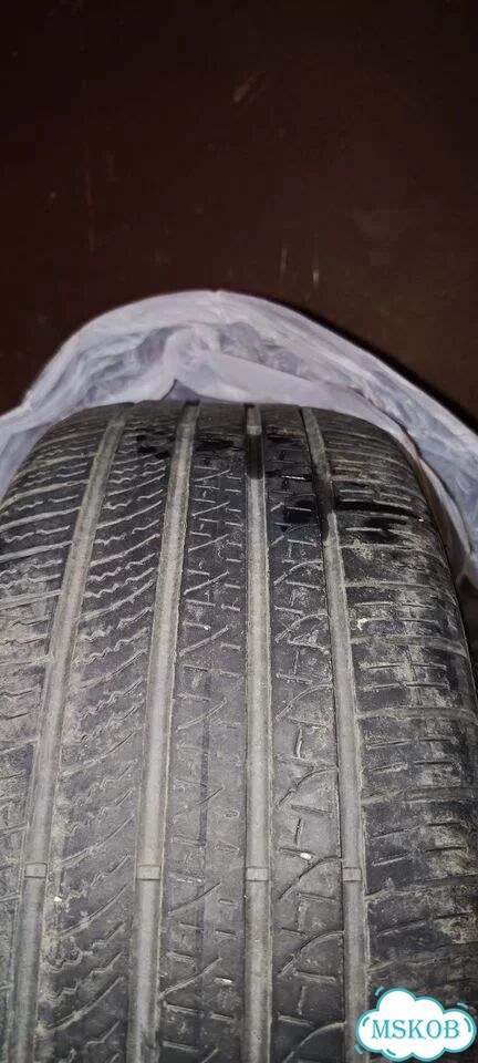 Pirelli P Zero All Season 275/35 R20 фото 4