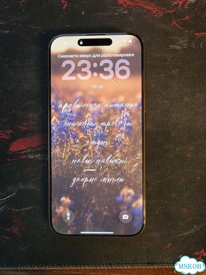 iPhone 16 Pro Max, 256 ГБ, SIM + eSIM фото 6