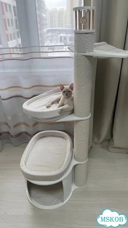 Когтеточка фото 1
