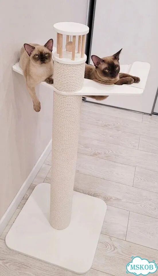 Когтеточка фото 3