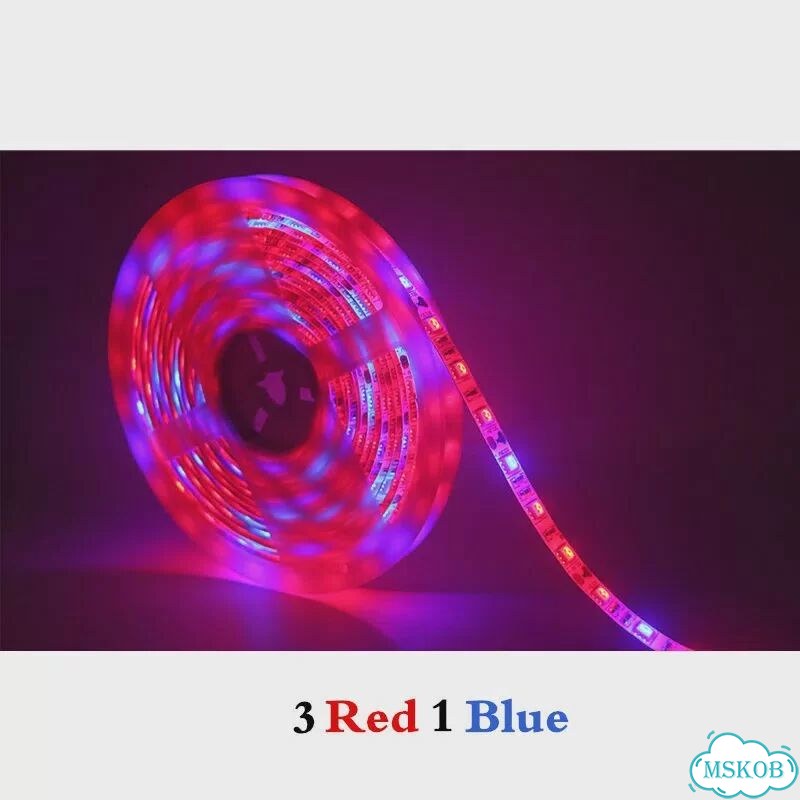Фитолента LED 4м 3 Red 1 Blue, Waterproof фото 1