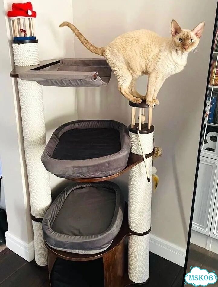 Когтеточка фото 3