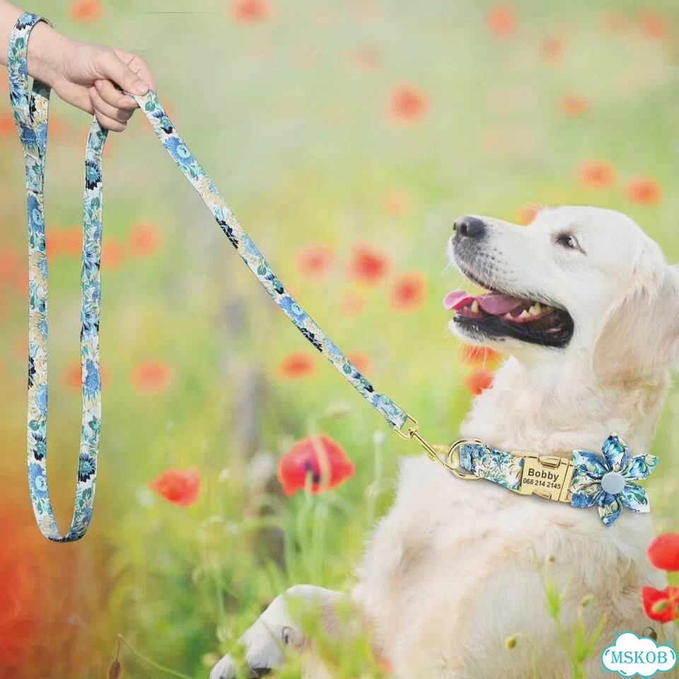 Didog персонализированный набор ошейник и поводок для собак, нейлон, розовый S, Blue set фото 6