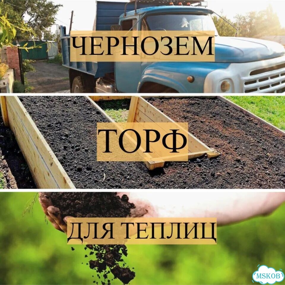 Чернозем фото 1