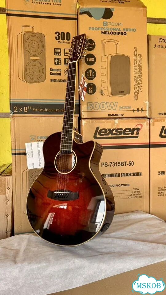 Tanglewood WinterLife 12 струн массив новая фото 1