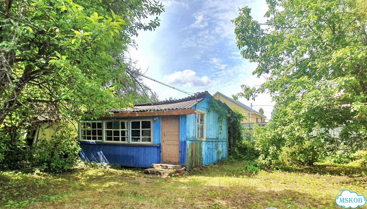 Бишон фризе, щенок фото 10
