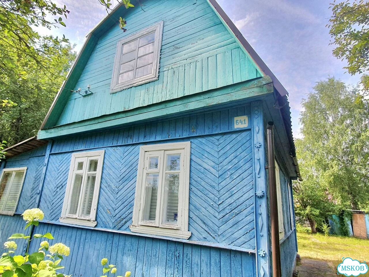 Бишон фризе, щенок фото 2