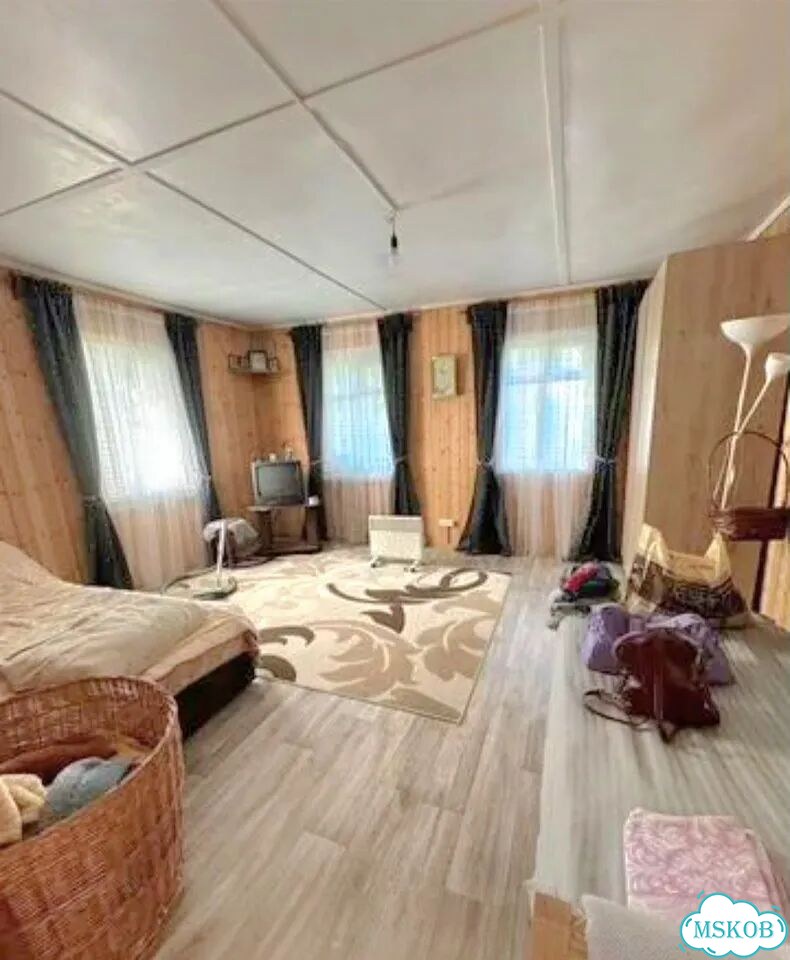 Бишон фризе, щенок фото 6