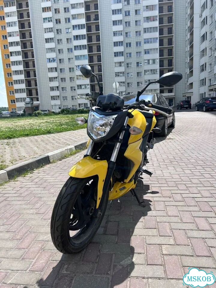 Sym Wolf T2, 2013, 13 177 км фото 2