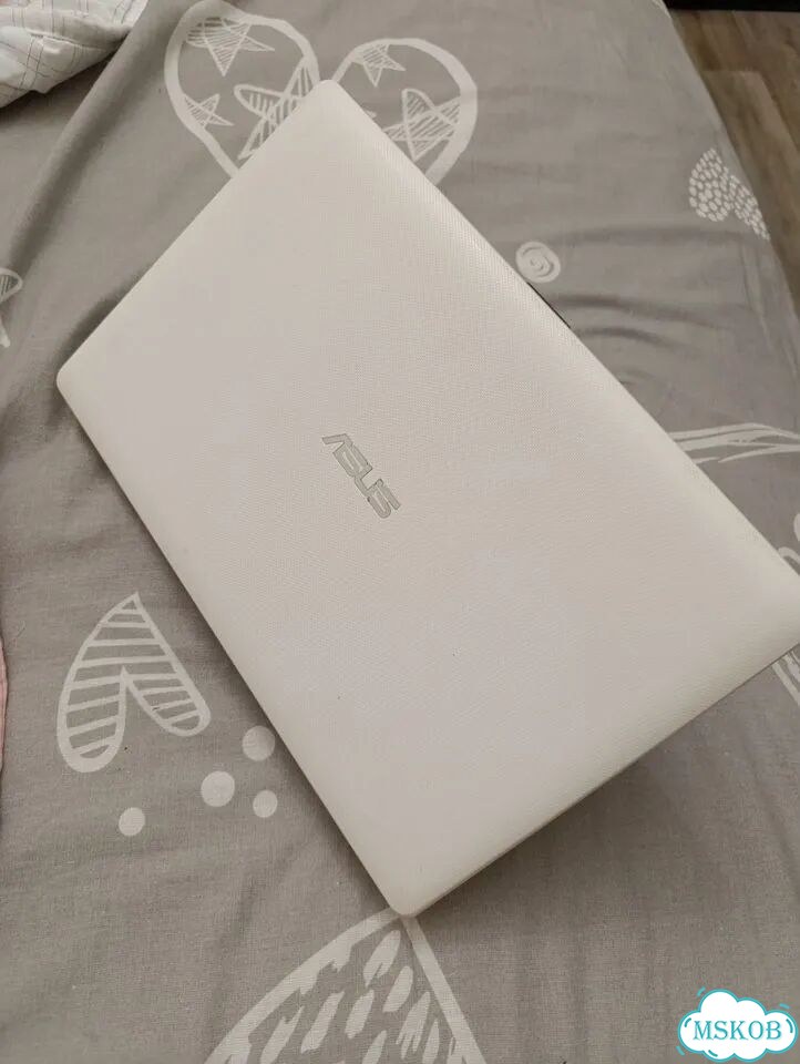 Asus фото 1