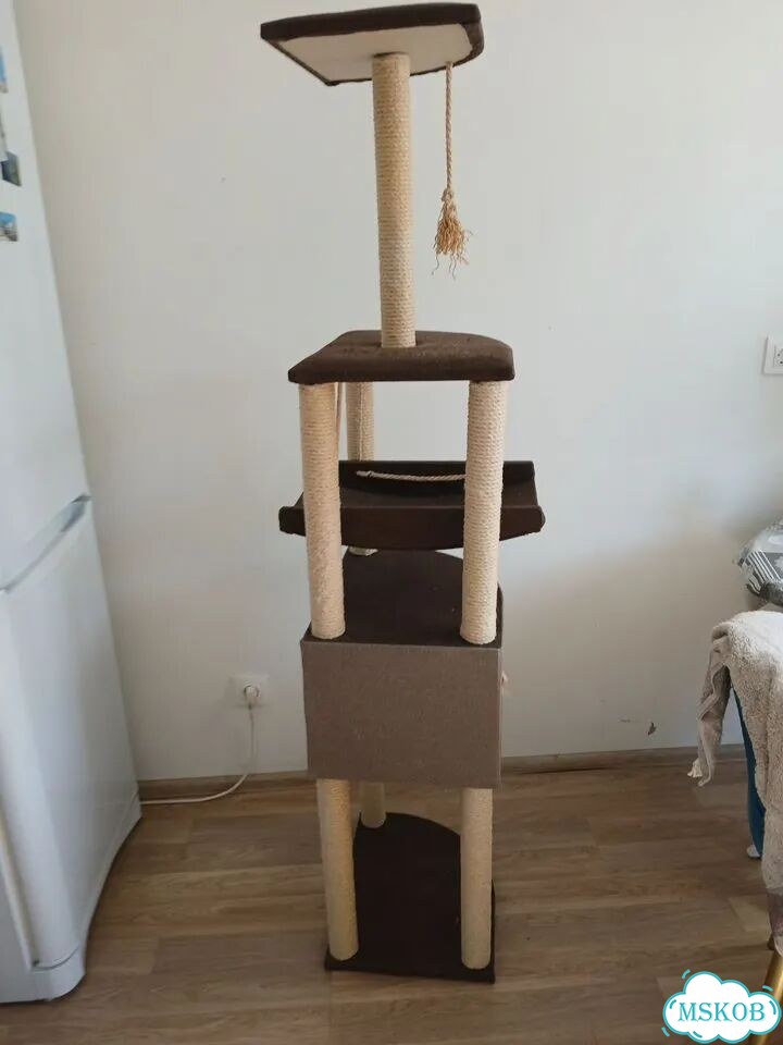 Когтеточка домик для кошки фото 1