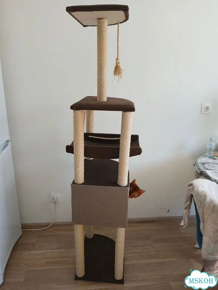 Когтеточка домик для кошки фото 2