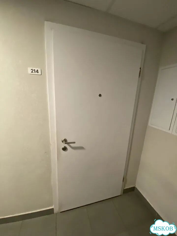 Дверь входная бу фото 1