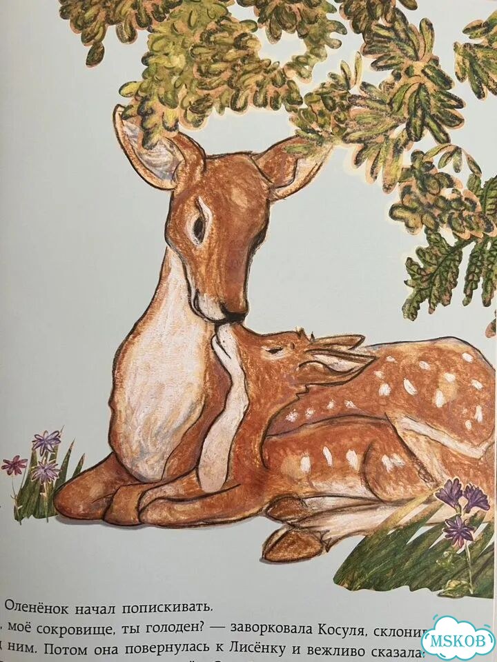 Серия детских книг про Лисенка фото 6