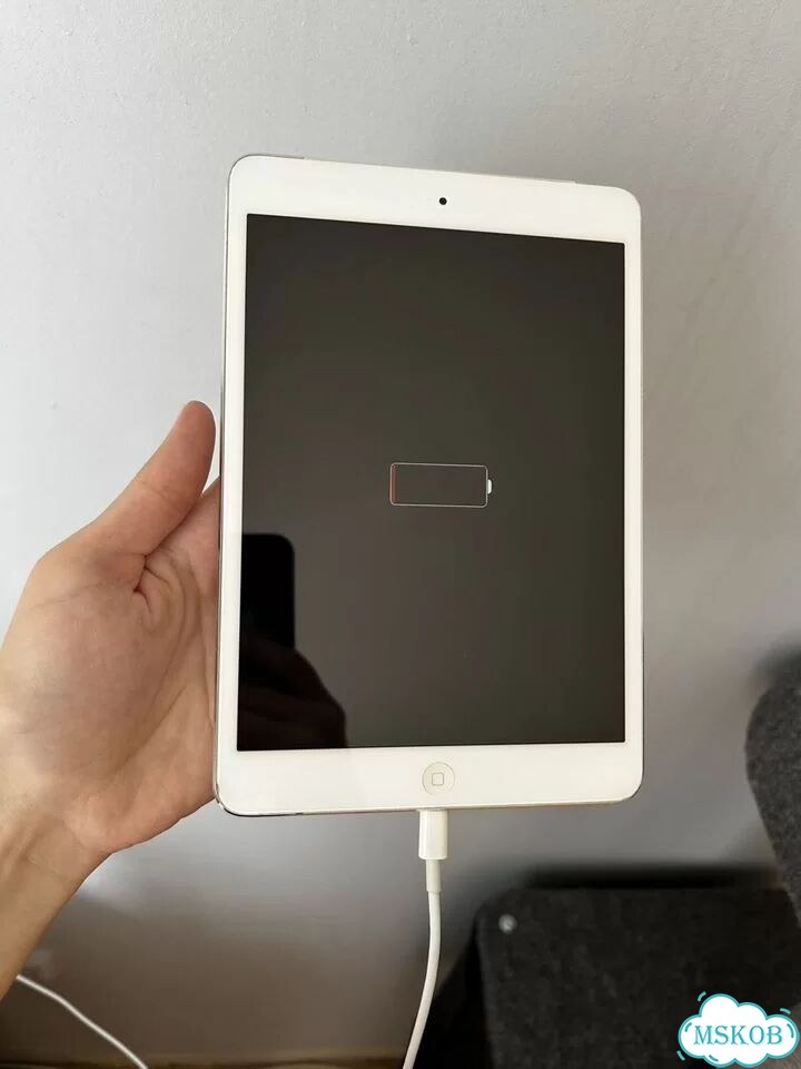 iPad mini фото 3