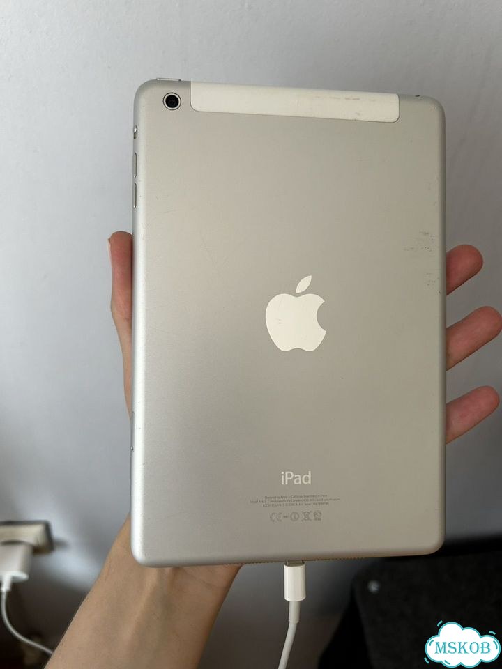 iPad mini фото 4